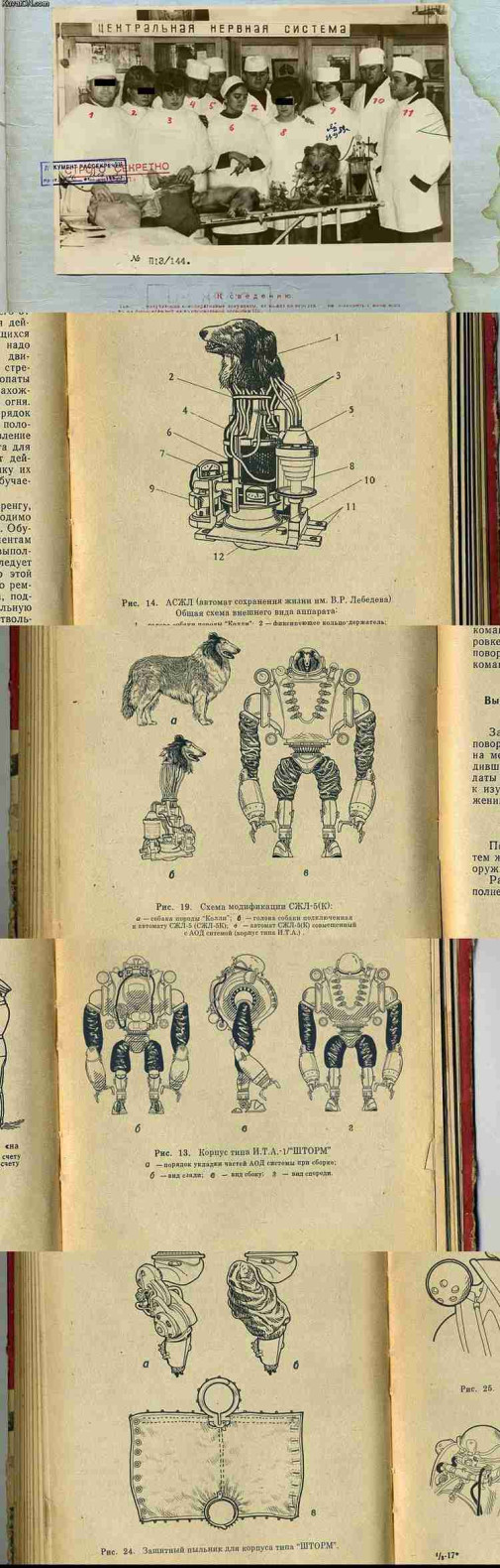 Sovietsky robotický dunčovia
